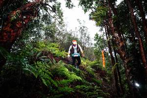 BIB: 
                            <button type="button" onclick="openModal(26205475)" class="btn btn-primary btn-sm float-right btn-popup" data-toggle="modal" data-target=".modal-high-quality">
                        <i class="fas fa-shopping-cart"></i> Add to Cart
                    </button>
                                            <button type="button" onclick="isThisMe(26205475, true)" class="btn btn-success btn-sm float-right btn-popup btn-isme hidden" data-toggle="tooltip" data-placement="bottom" title="นี่คือรูปของคุณใช่ไหม คลิกที่นี่เพื่อเอาเข้าอัลบั้ม">
                        <i class="fas fa-plus"></i> Add to album
                    </button>
                    <button type="button" onclick="isThisMe(26205475, false)" class="btn btn-warning btn-sm float-right btn-popup btn-isnotme hidden">
                        <i class="fas fa-ban"></i> Remove from album
                    </button>